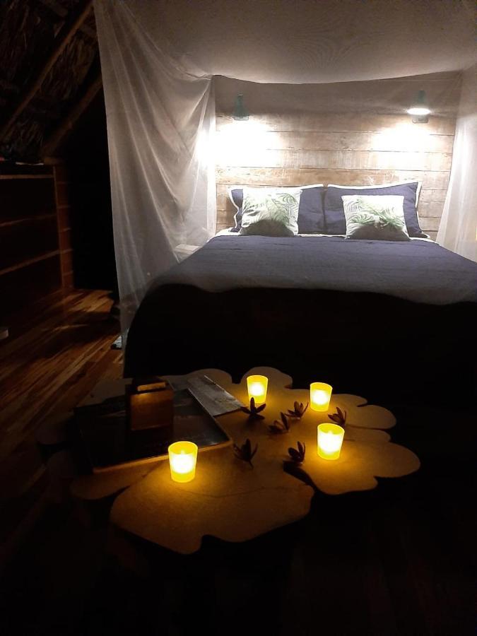 Guápiles Popone Farm & Lodge מראה חיצוני תמונה